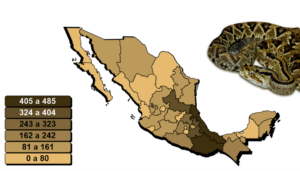 Panorama ofidismo México